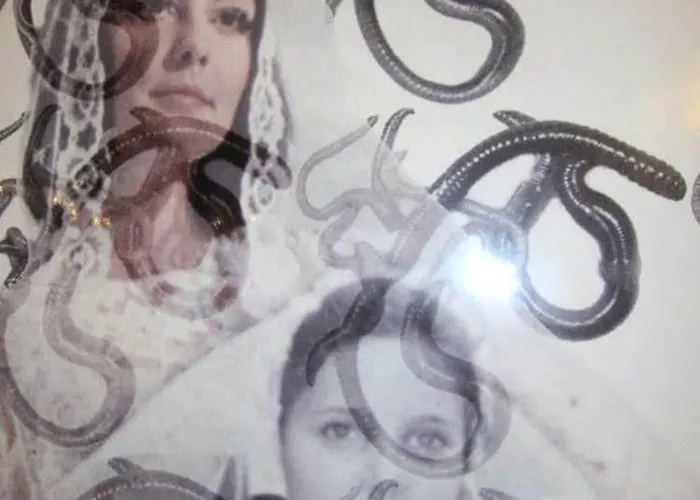 Hotell Virgilio Milano